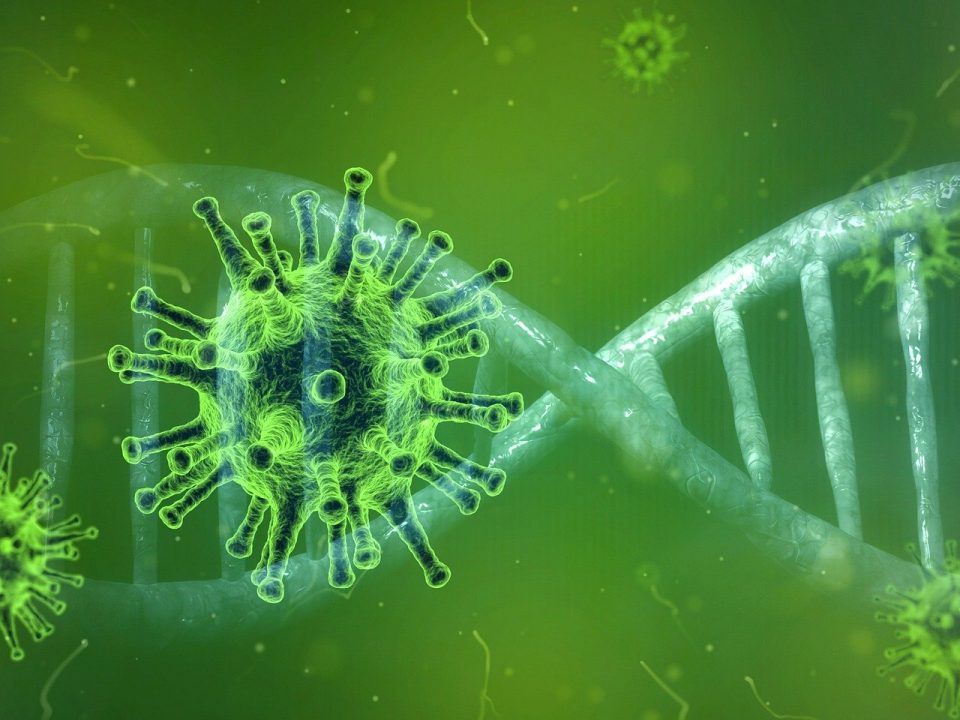 Image microscopique du Coronavirus