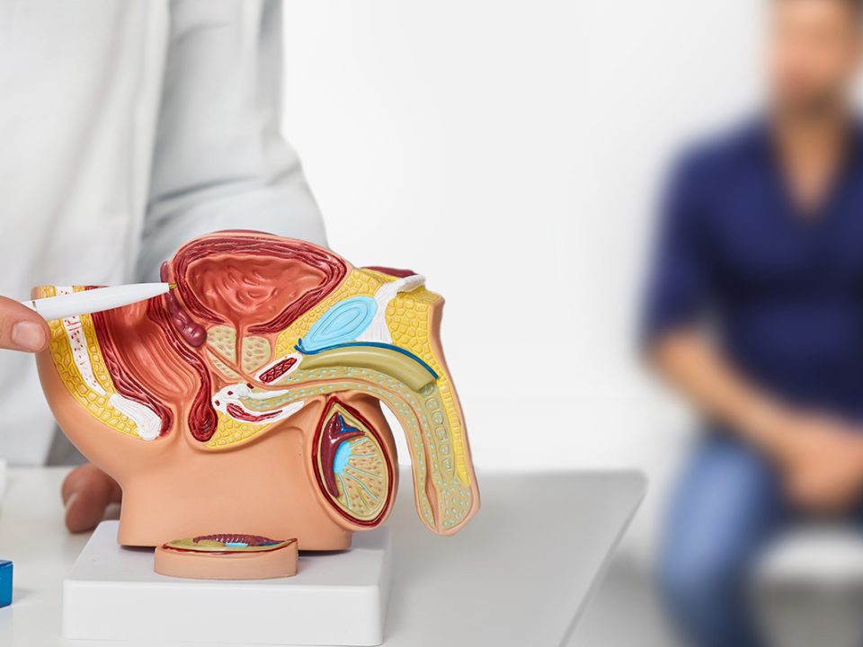 Homme consultant son urologue pour un examen de la prostate